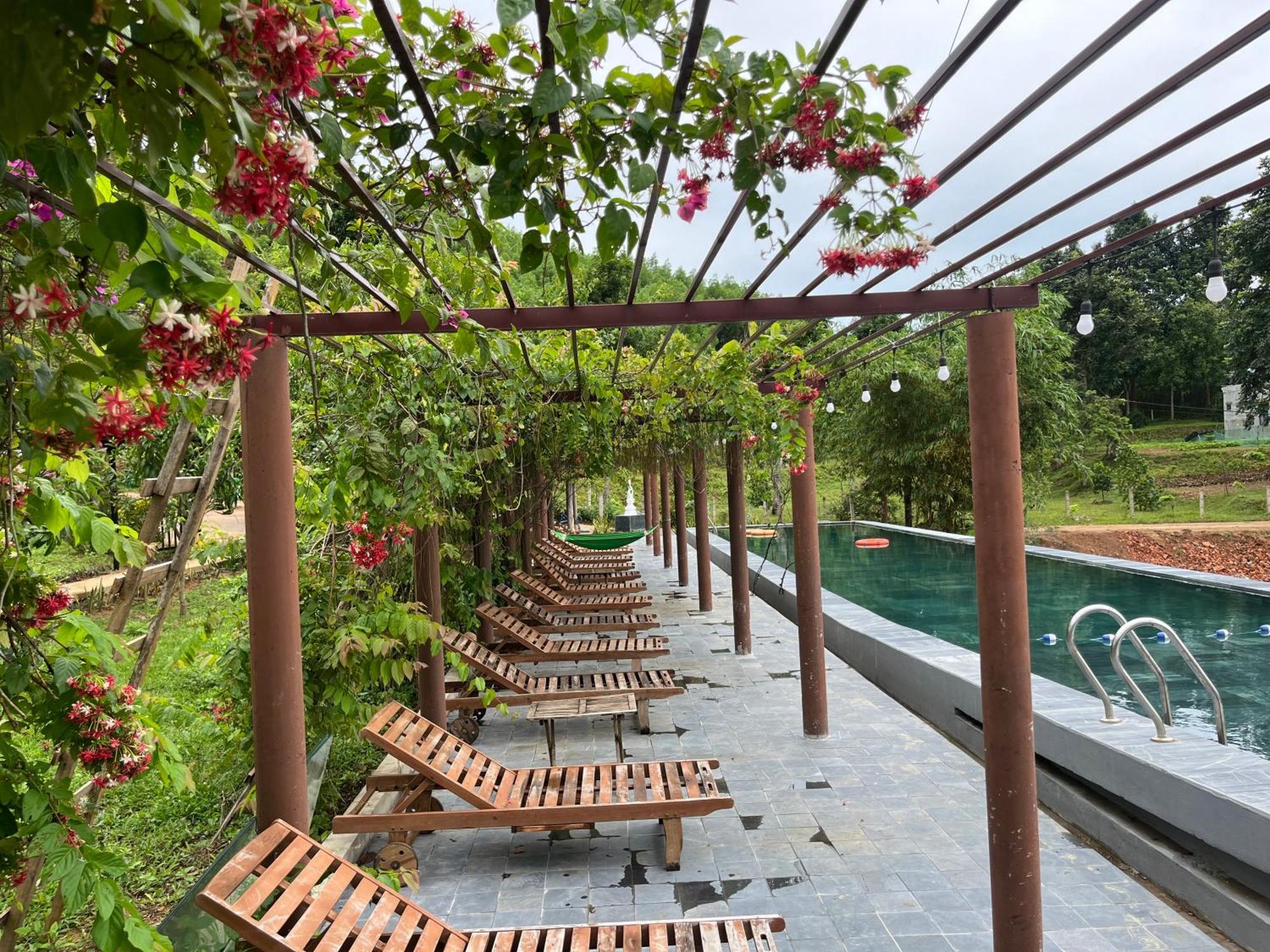 Nguyen Shack Retreat Resort Фонгня Екстер'єр фото
